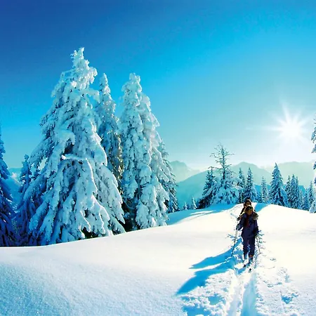 Mammhofer & Breakfast Oda ve Kahvaltı 3*